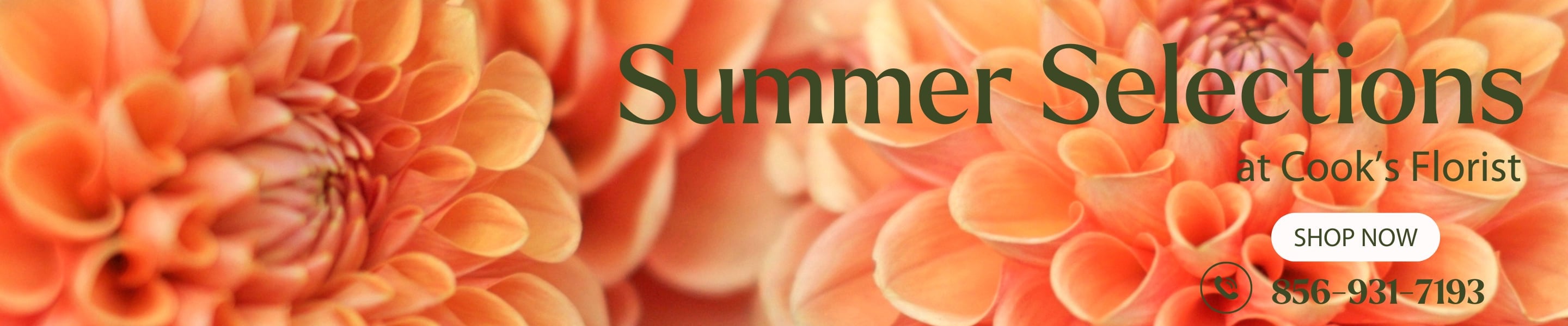 Florist Runnemede New Jersey Cook's Florist and Flower Delivery